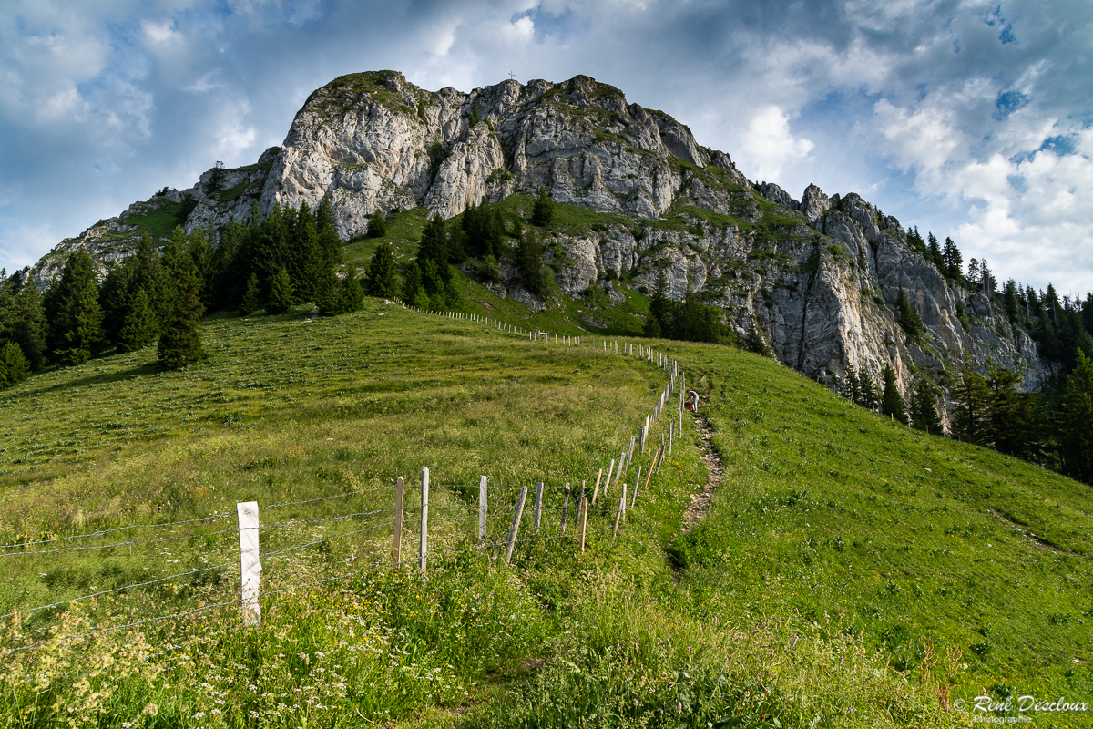 1907 4109_Dent de Broc