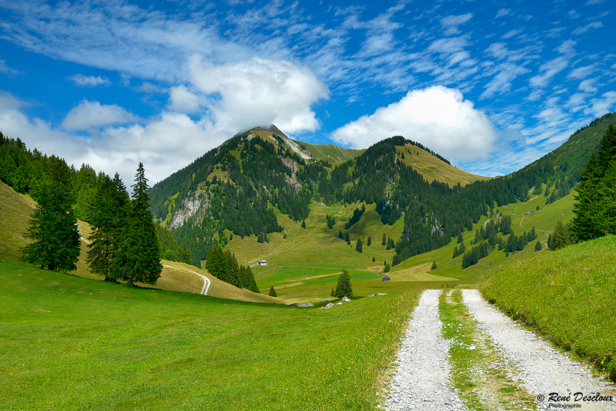 Paysages Fribourg