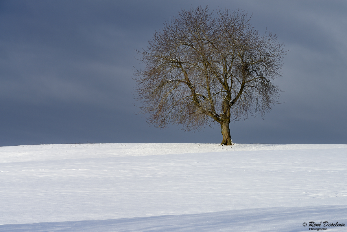 1312 1893_Le Châtelard